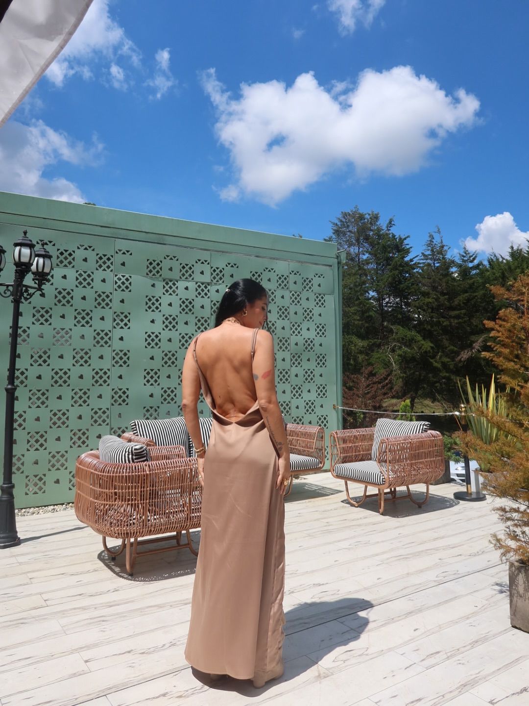 VESTIDO DANDELION