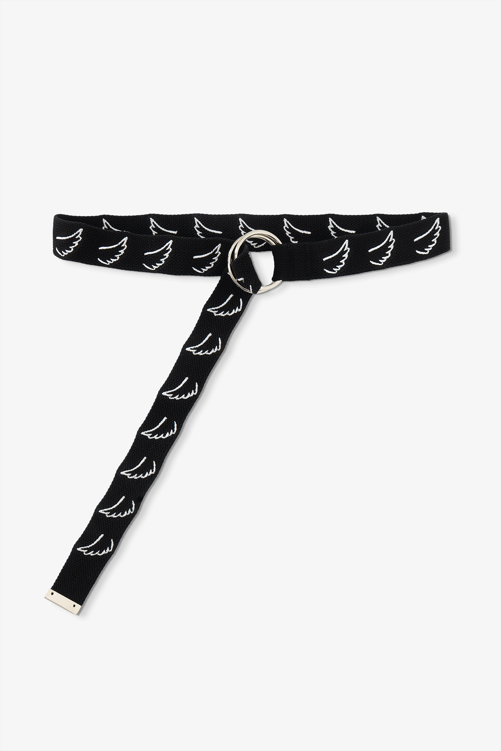 CORREA CARIÑO WINGS