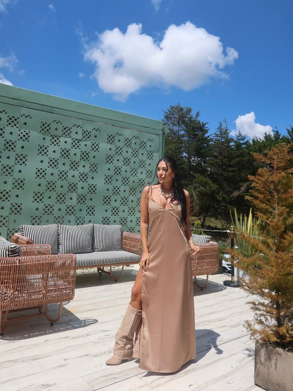VESTIDO DANDELION
